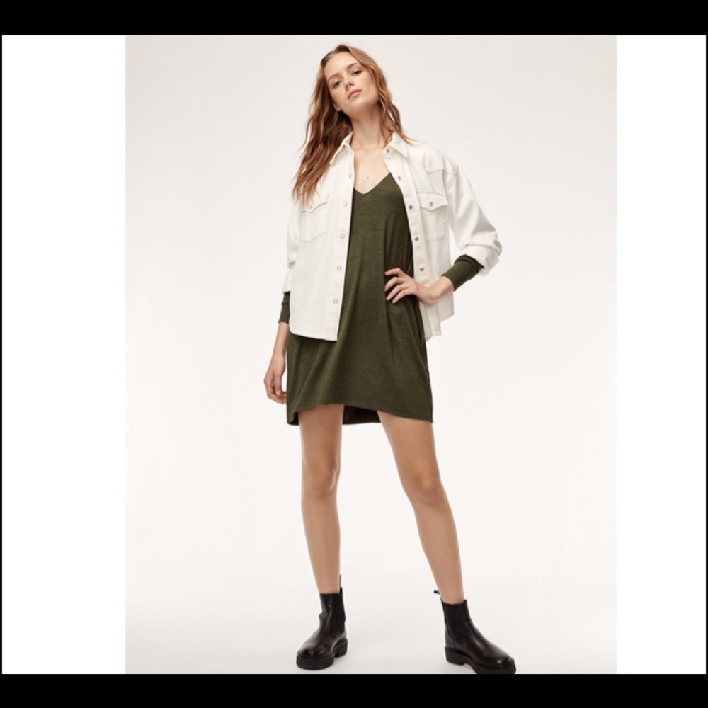 ARITZIA Wilfred Free Gail Dress - Picture 6 of 8
